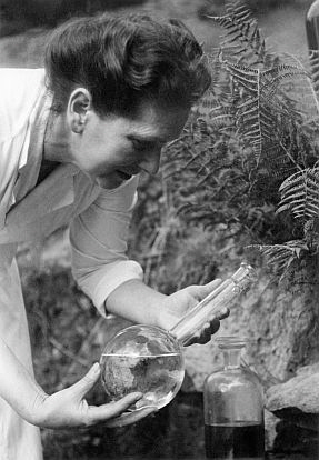 Naturkosmetik Karin Heller